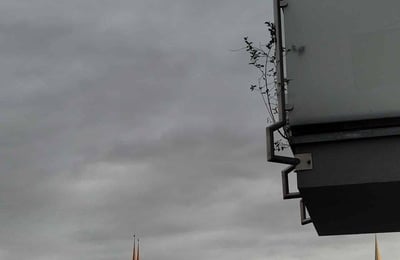 Alquiler de un acogedor apartamento de 2 habitaciones, 35 m², Ołbin, Breslavia, Polonia